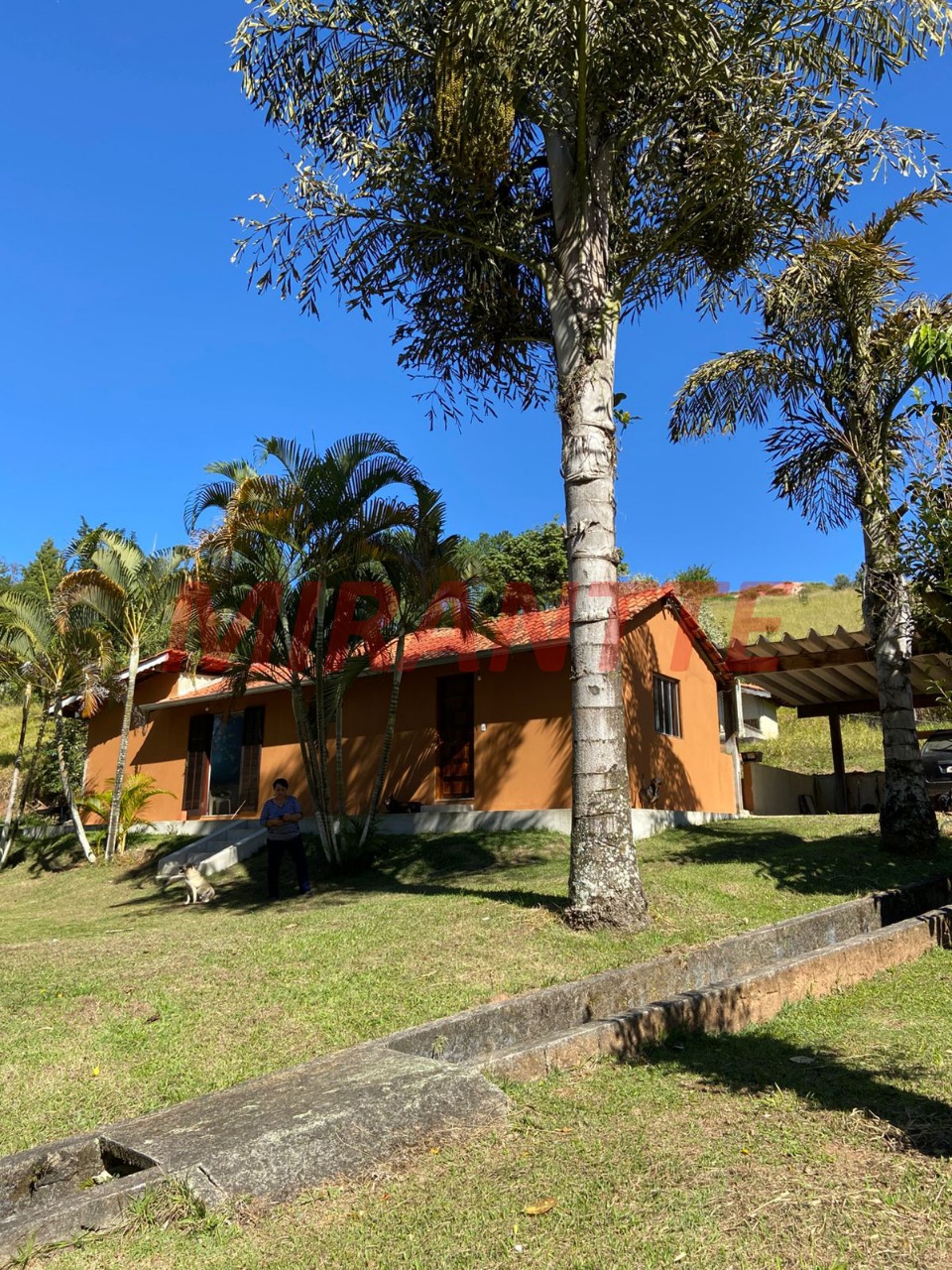 Outros de 17600m² com 3 quartos em Distrito Industrial