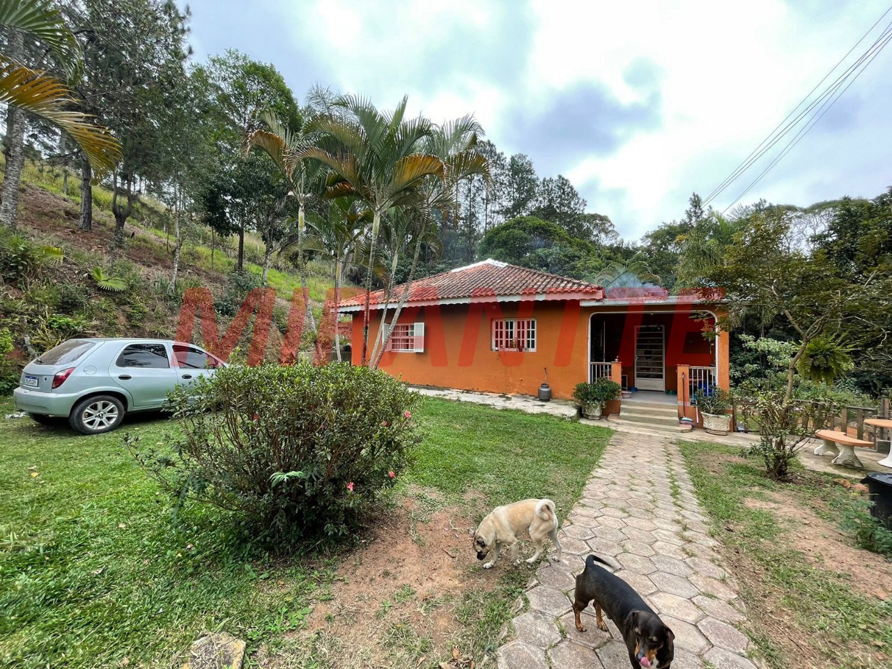 Outros de 17600m² com 3 quartos em Distrito Industrial