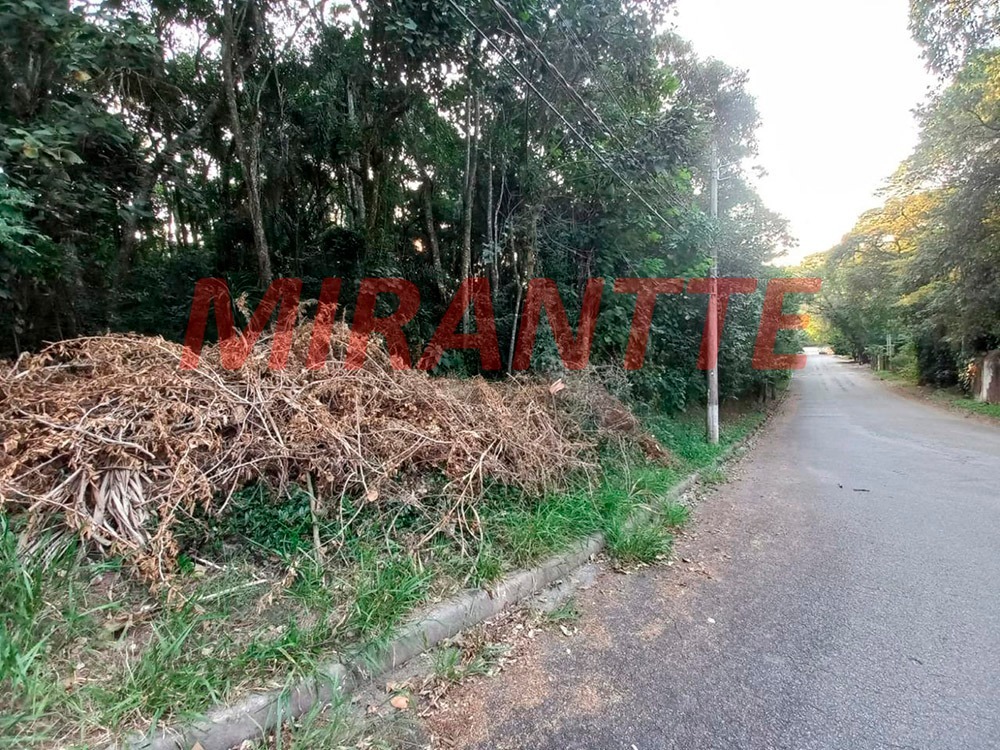 R2 Image 176032 #6