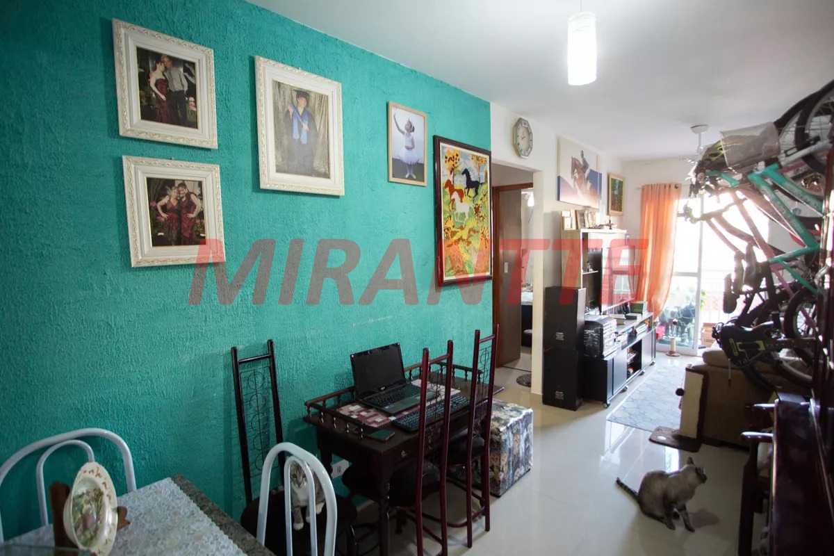Apartamento de 52.5m² com 2 quartos em Jardim Carlu