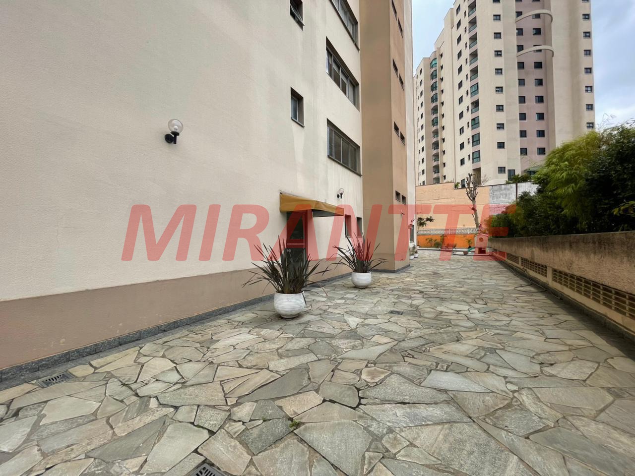 Apartamento de 100m² com 3 quartos em Vila Pauliceia