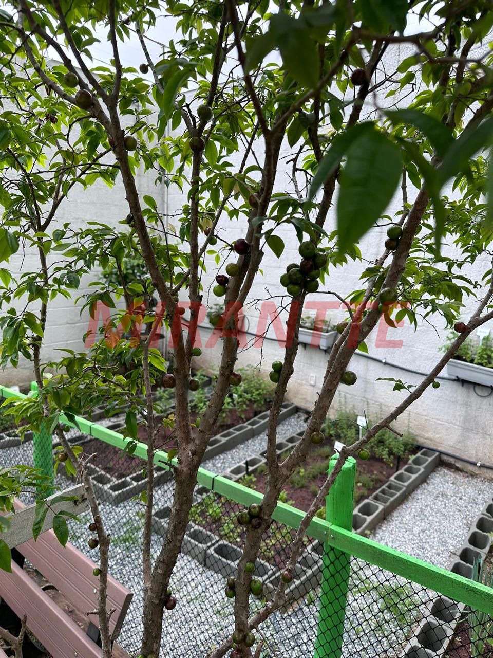 Apartamento de 64m² com 2 quartos em Santana