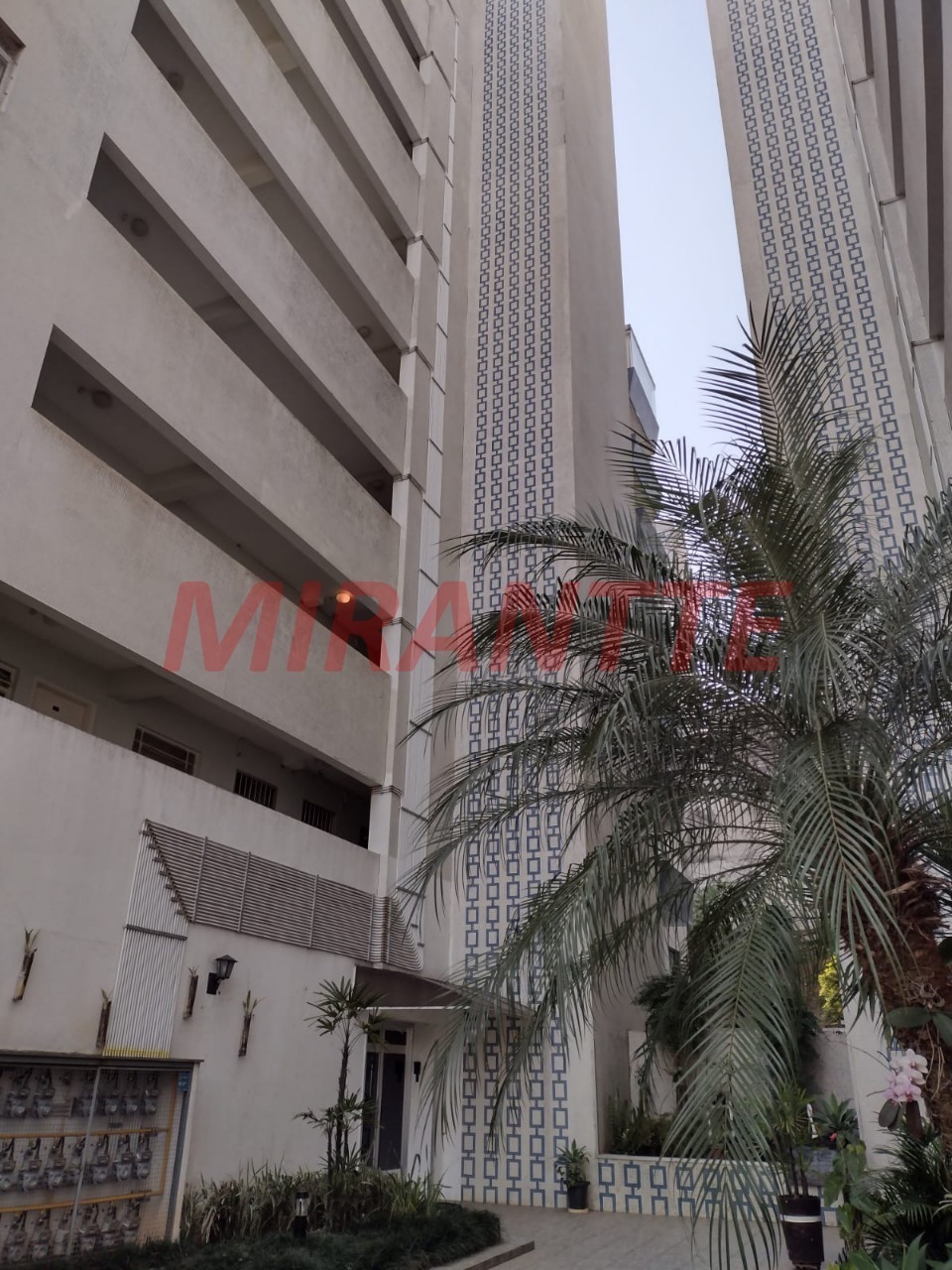 Apartamento de 46m² com 1 quartos em Parada Inglesa