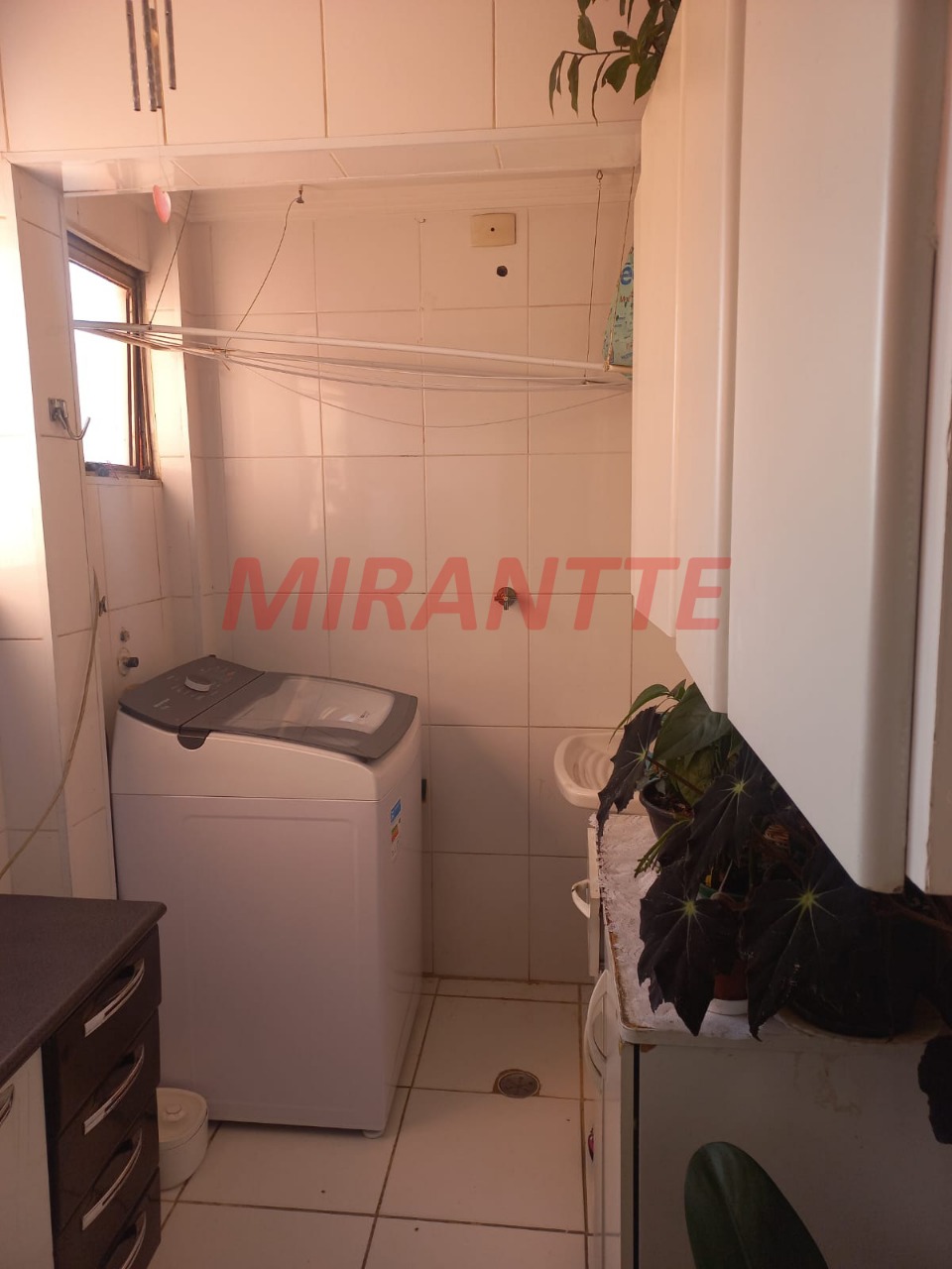 Apartamento de 53m² com 2 quartos em Vila Gustavo