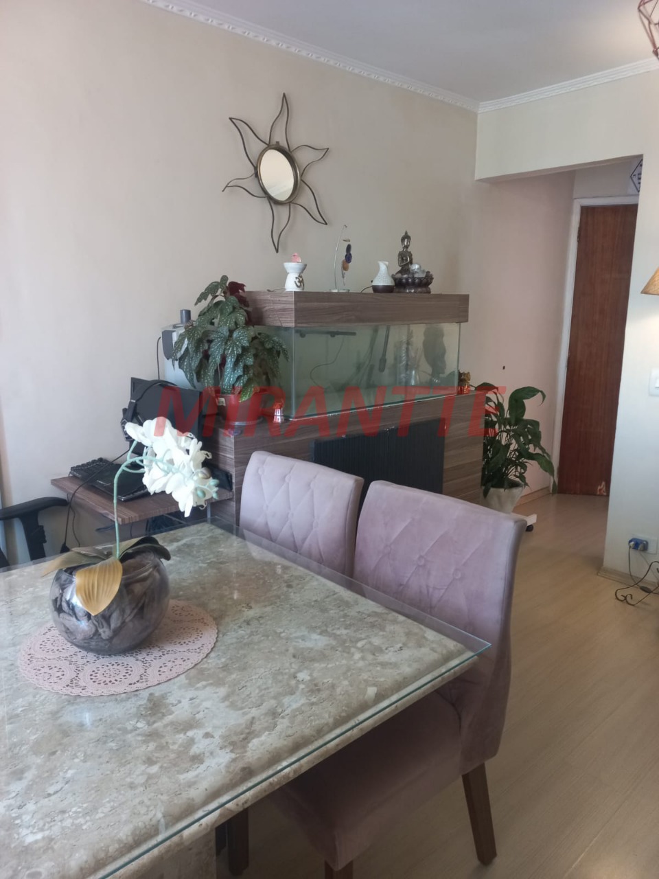 Apartamento de 53m² com 2 quartos em Vila Gustavo
