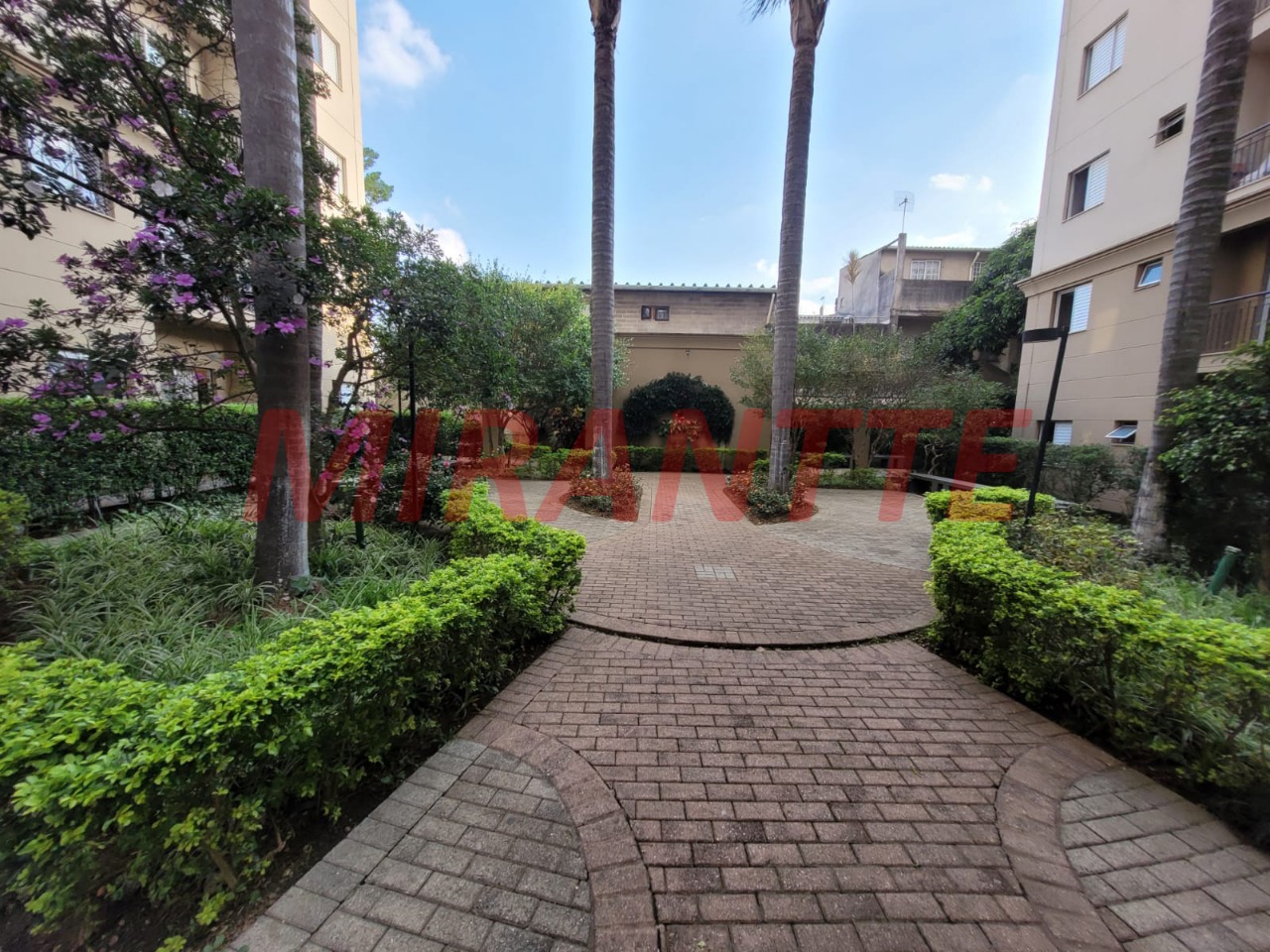 Apartamento de 50m² com 2 quartos em Lauzane Paulista