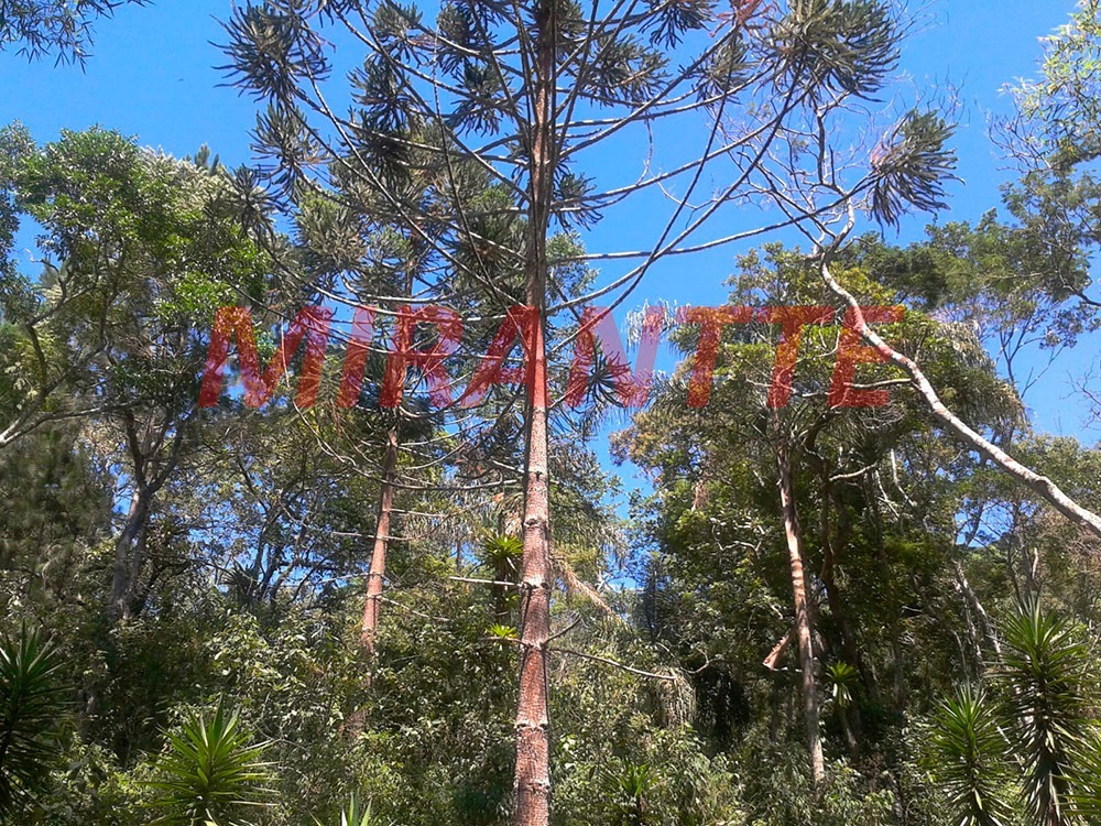 Outros de 85000m² com 1 quartos em Pedra do Coração