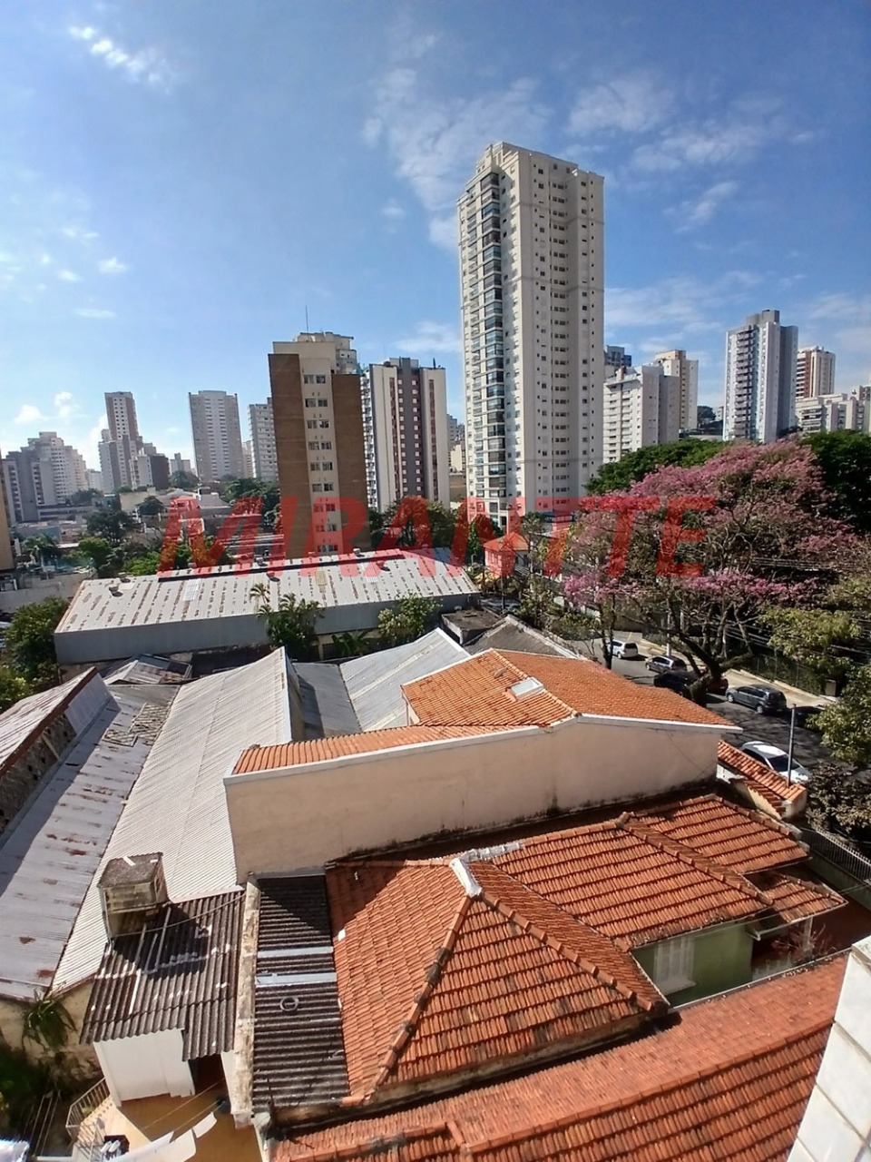 Apartamento de 74m² com 3 quartos em Vila Anglo Brasileira