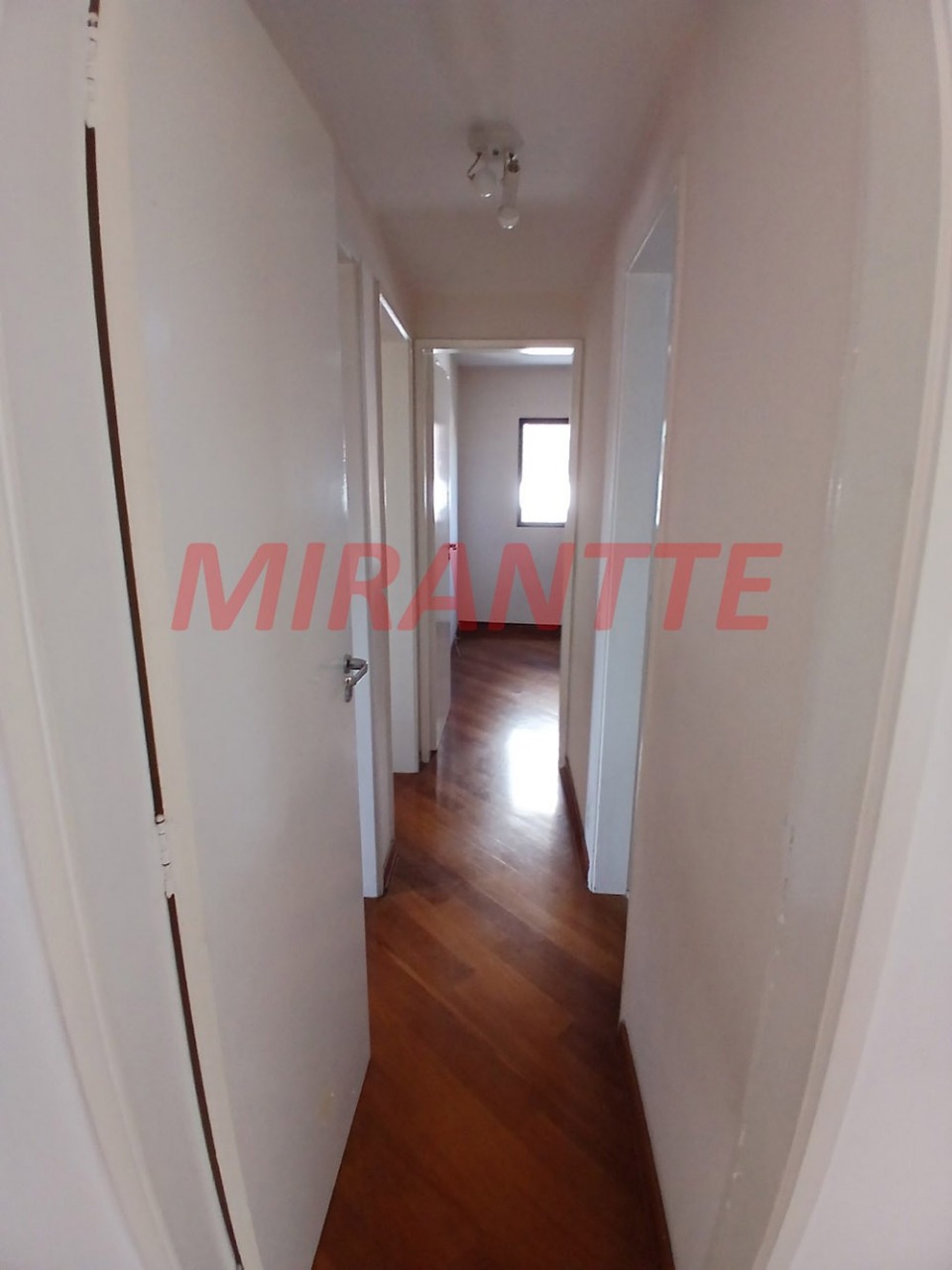 Apartamento de 74m² com 3 quartos em Vila Anglo Brasileira