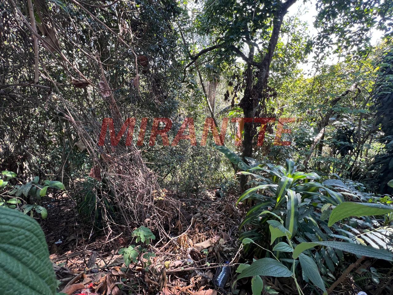 Terreno de 0m² em Recreio São Jorge