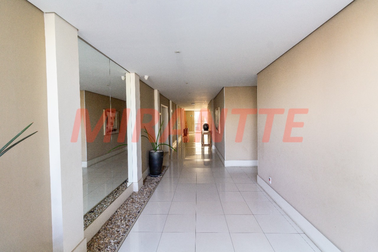 Apartamento de 120m² com 4 quartos em Lauzane Paulista