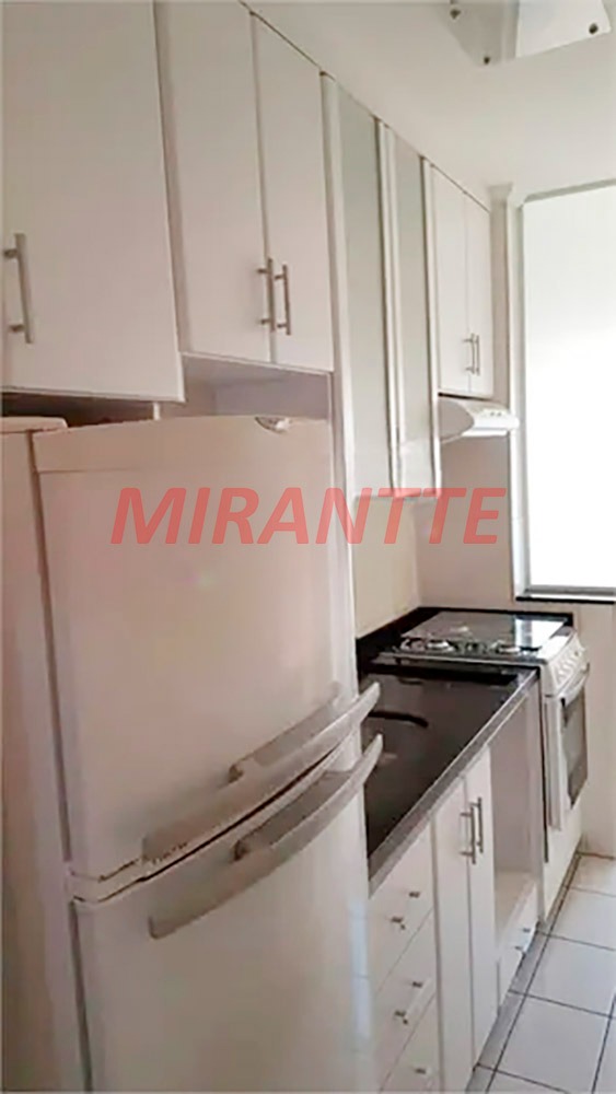 Apartamento de 63m² com 3 quartos em Vila Basileia