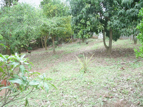 Casa terrea de 263m² com 4 quartos em Serra Da Cantareira