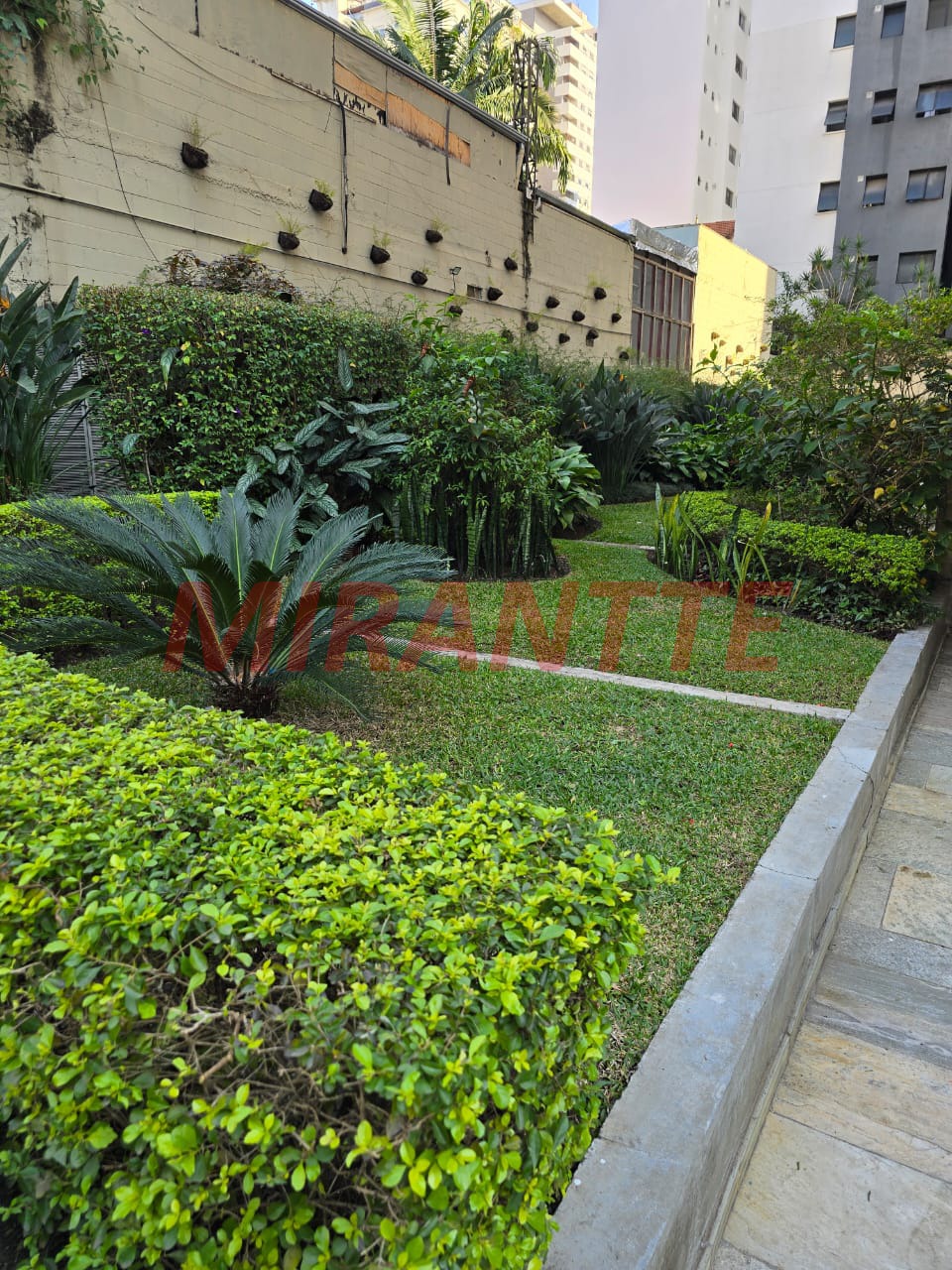 Apartamento de 80m² com 3 quartos em Sumarezinho