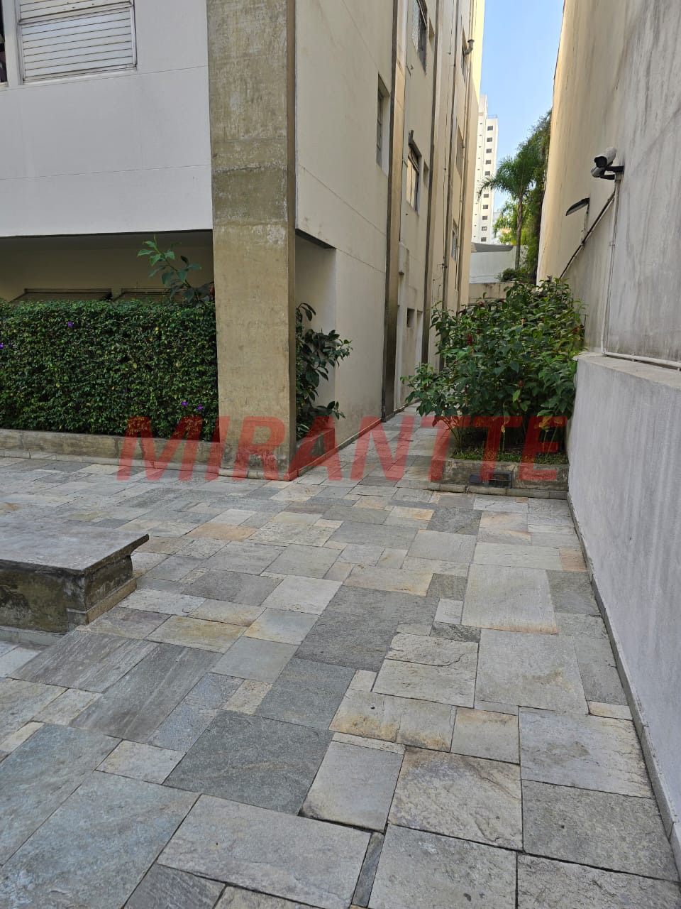 Apartamento de 80m² com 3 quartos em Sumarezinho