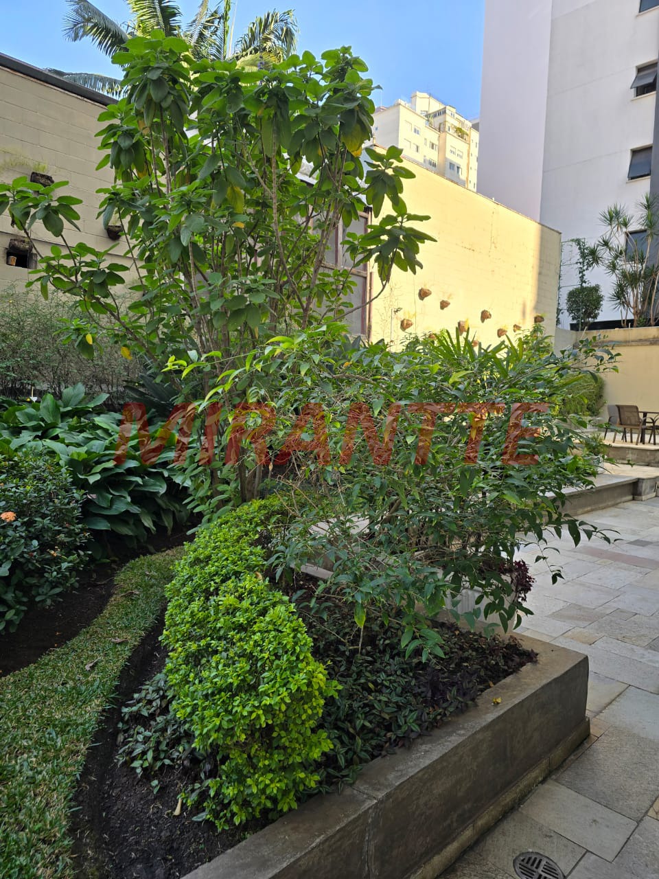 Apartamento de 80m² com 3 quartos em Sumarezinho