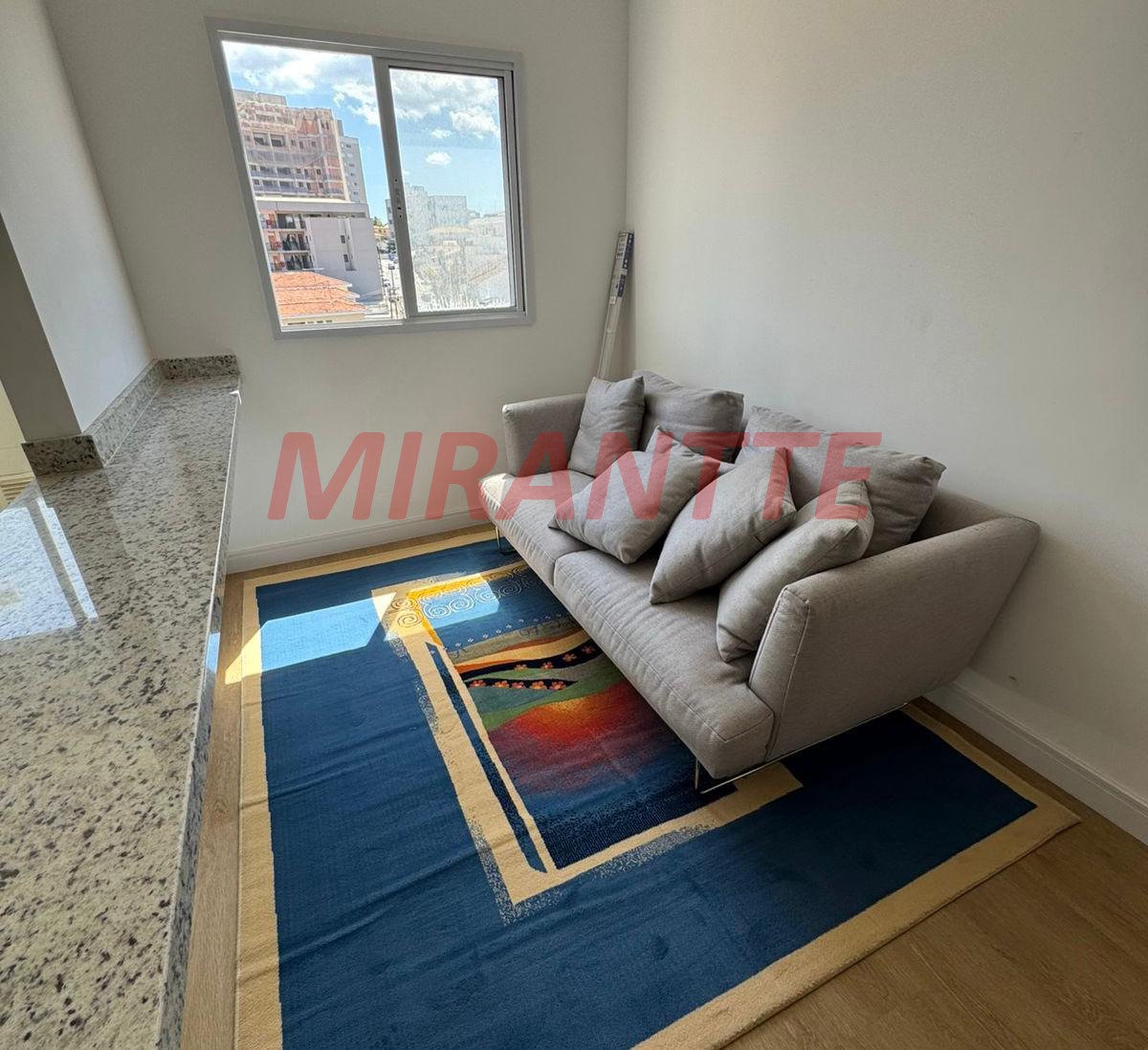 Apartamento de 40m² com 2 quartos em Tucuruvi