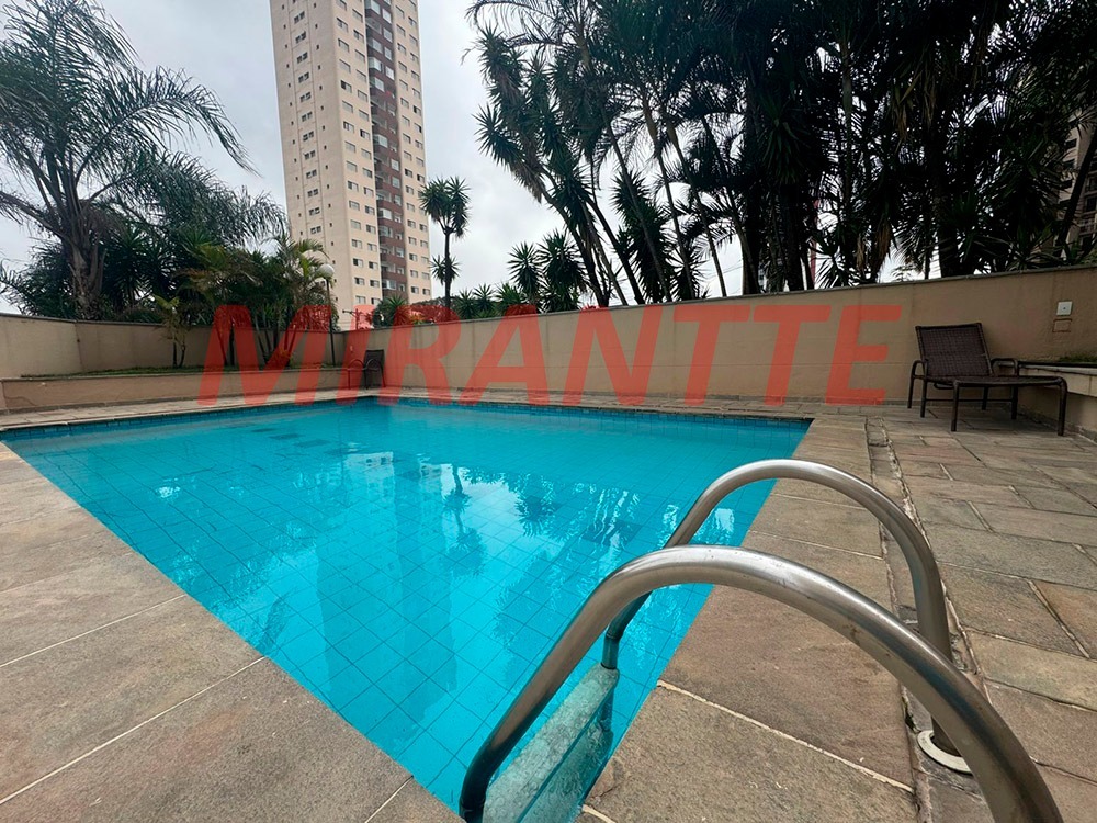 Apartamento de 80m² com 3 quartos em Lauzane Paulista