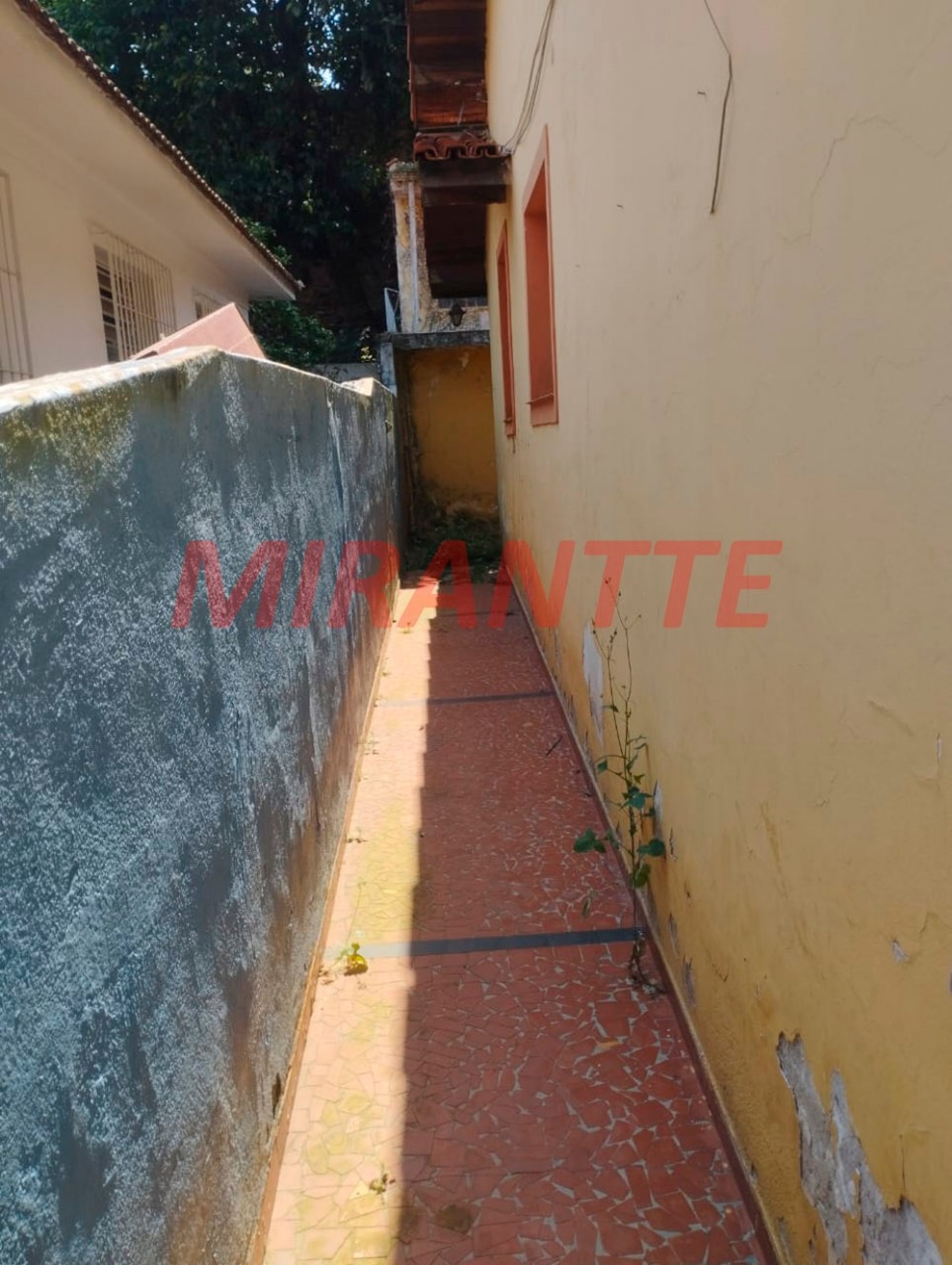 Casa terrea de 116m² com 3 quartos em Vila Albertina