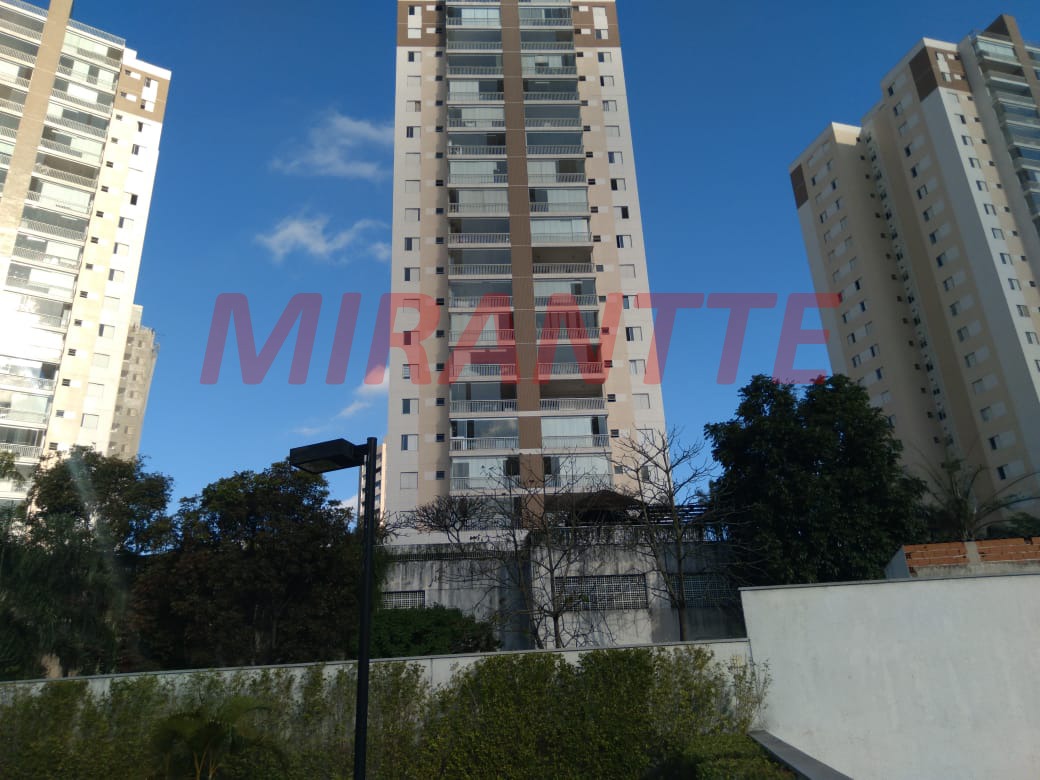 Apartamento de 118m² com 4 quartos em Lauzane Paulista