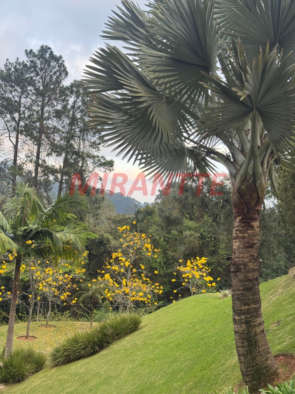 Sobrado de 800m² com 4 quartos em Serra Da Cantareira