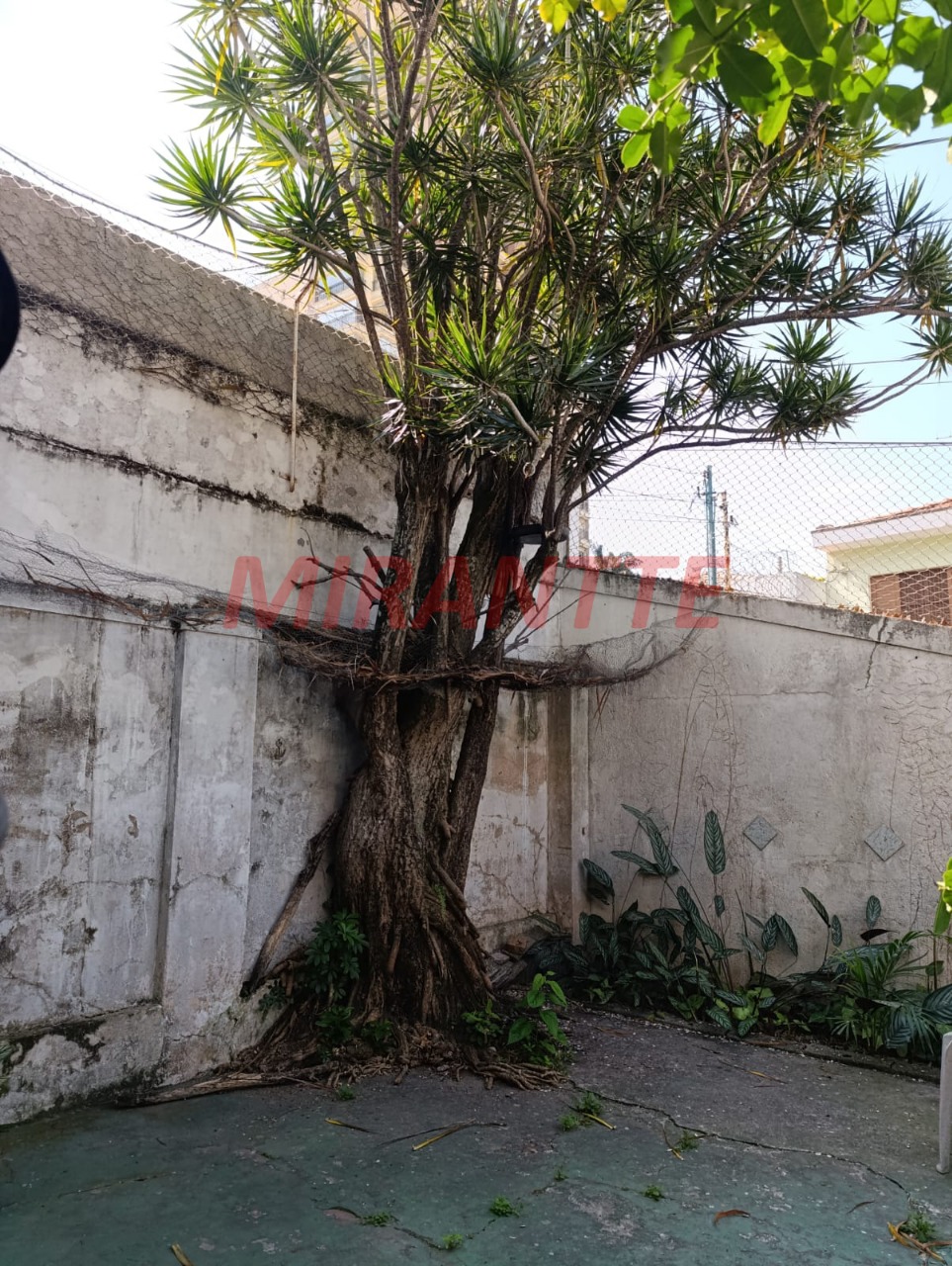 Casa terrea de 259m² com 3 quartos em Jardim São Paulo(Zona Norte)