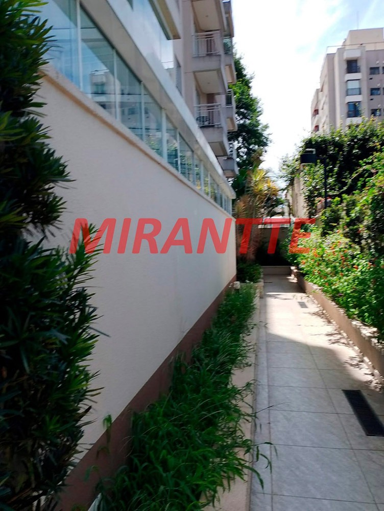 Apartamento de 49m² com 2 quartos em Vila Amália (Zona Norte)
