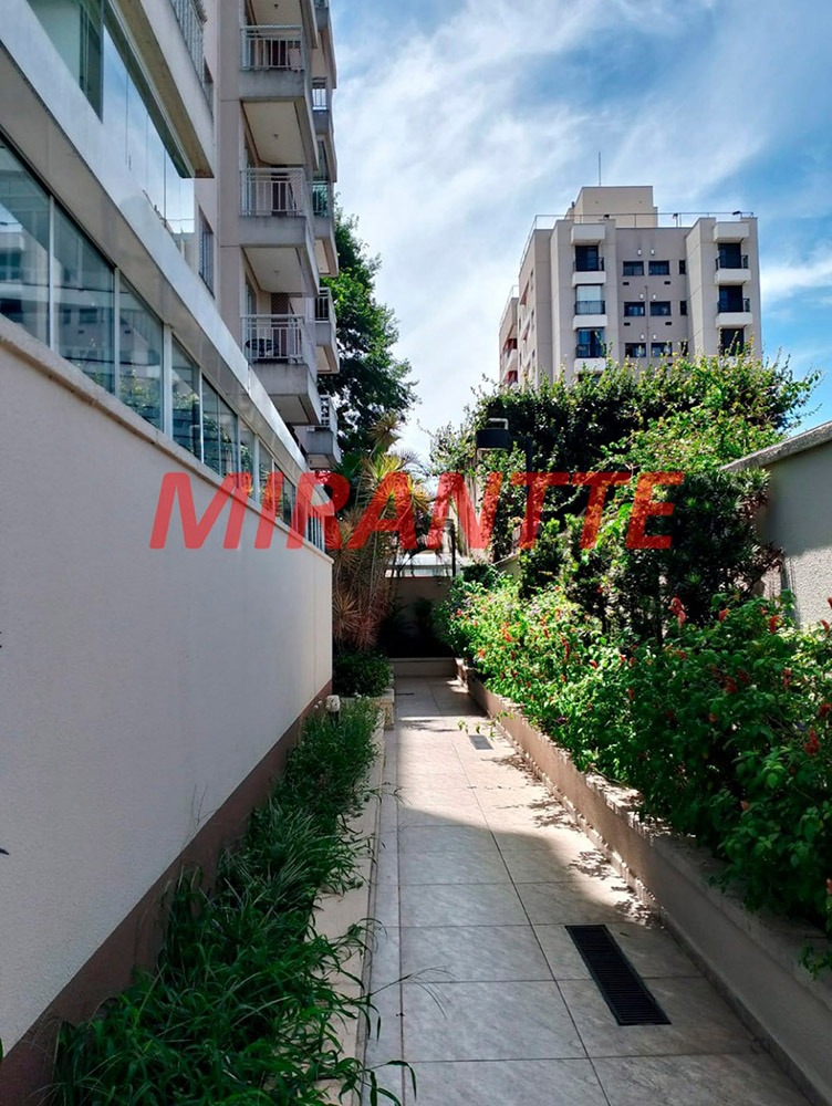 Apartamento de 49m² com 2 quartos em Vila Amália (Zona Norte)