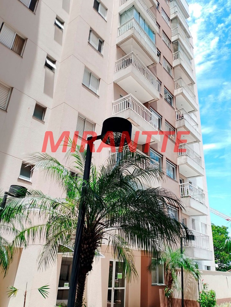 Apartamento de 49m² com 2 quartos em Vila Amália (Zona Norte)