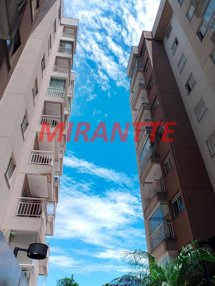 Apartamento de 49m² com 2 quartos em Vila Amália (Zona Norte)