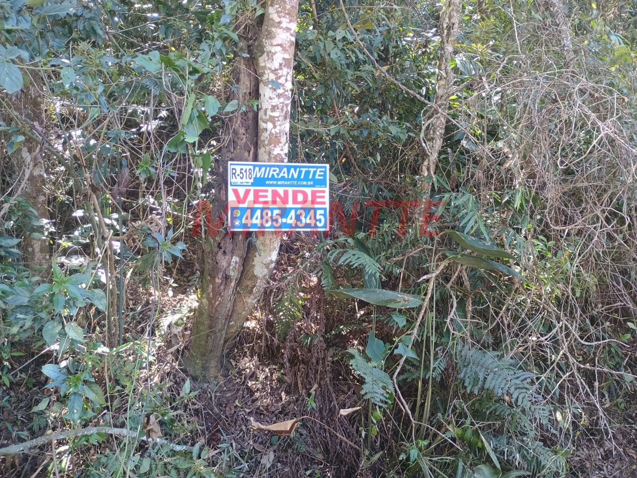 Terreno de 0m² em Caraguata