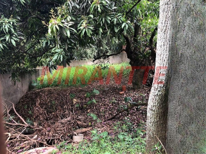 Terreno de 0m² em Vila Gustavo