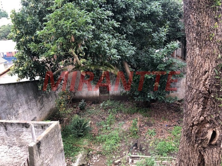 Terreno de 0m² em Vila Gustavo