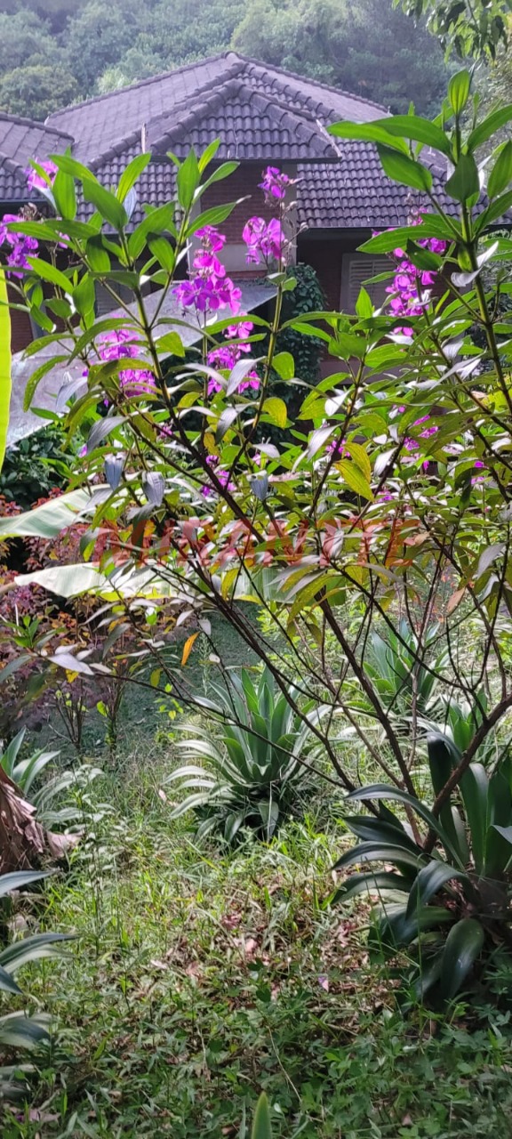 Outros de 2400m² em Santa Inês