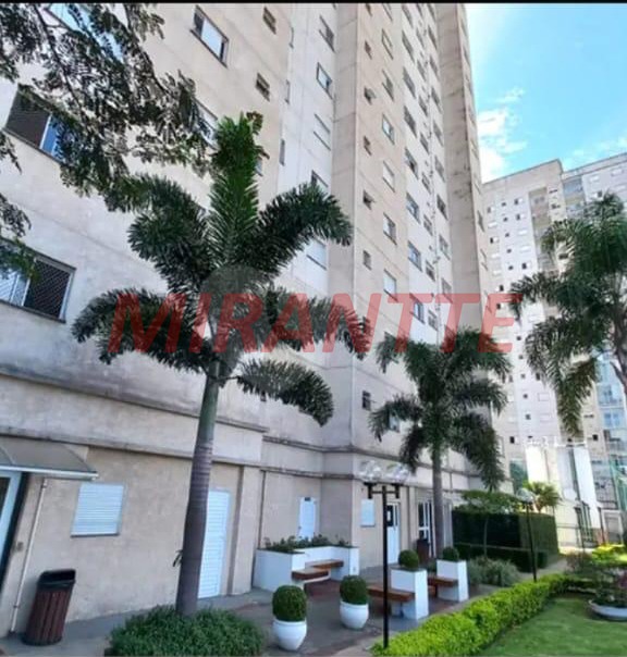 Apartamento de 58m² com 2 quartos em Jaçana