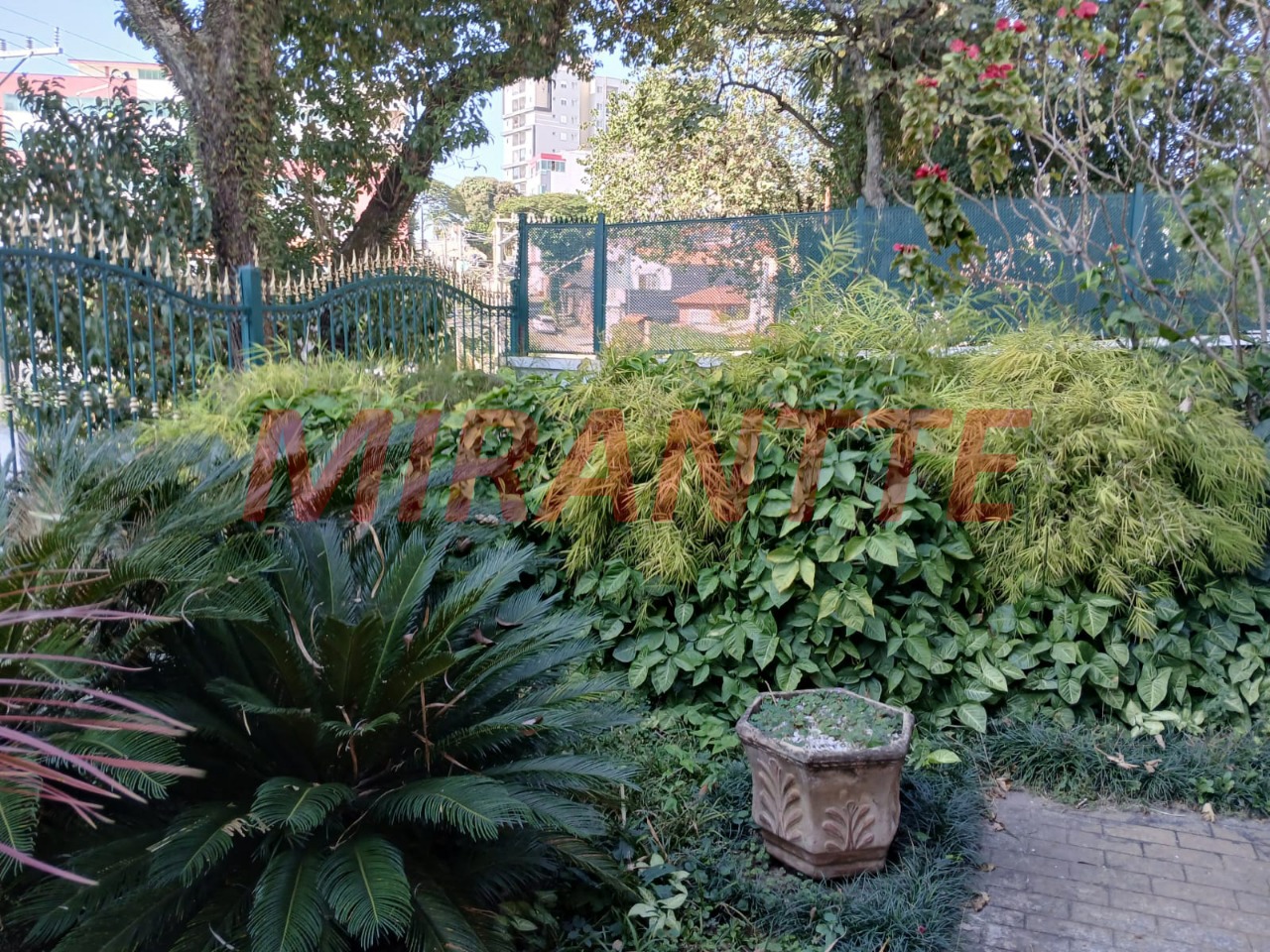 Casa terrea de 200m² com 4 quartos em Vila Nova Savoia