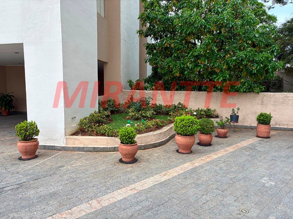 Apartamento de 54m² com 2 quartos em Tucuruvi