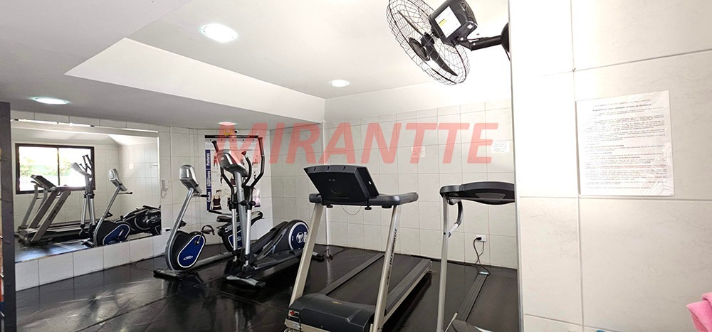 Apartamento de 73m² com 3 quartos em Tucuruvi