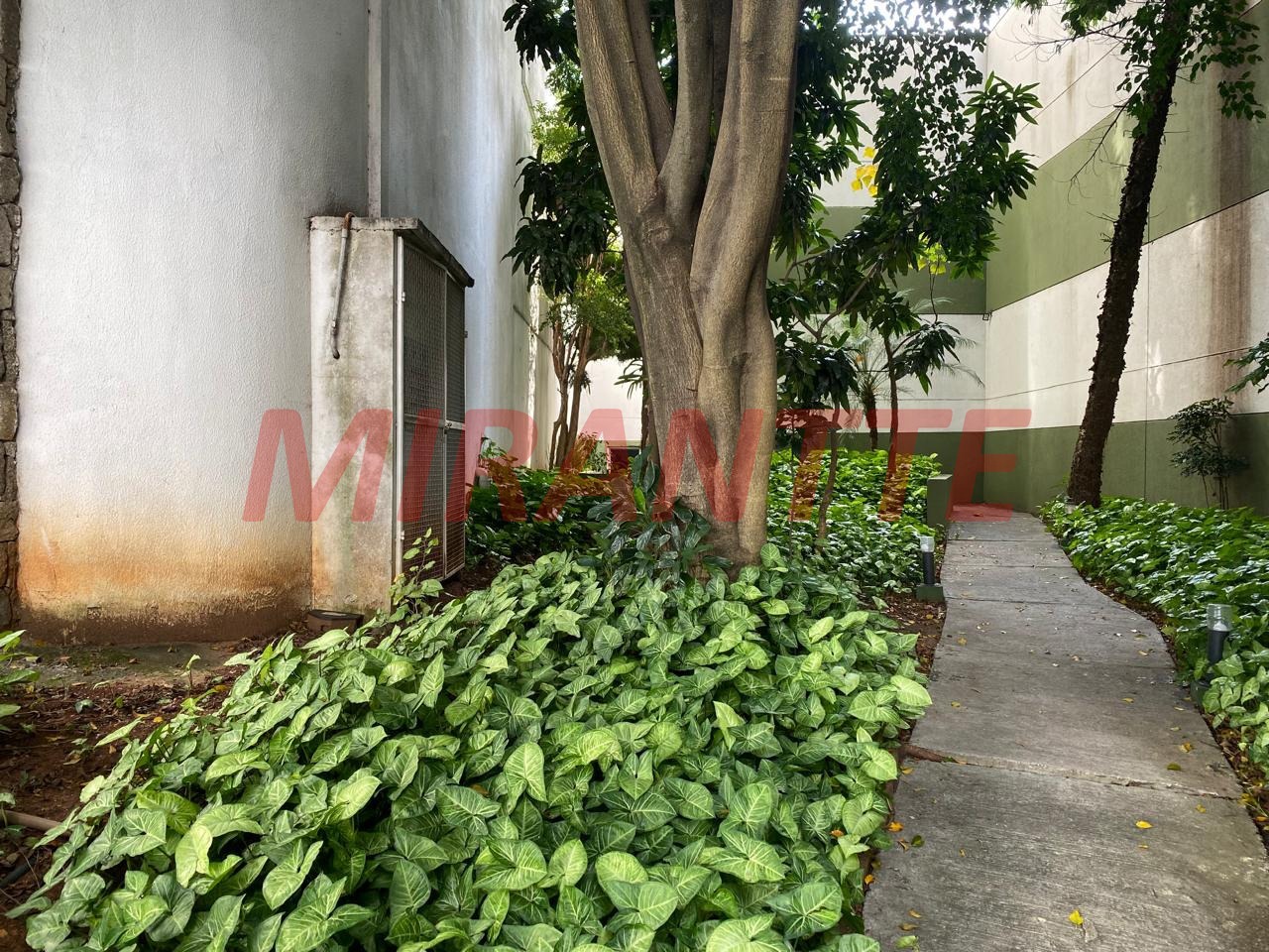 Apartamento de 200m² com 3 quartos em Santa Teresinha