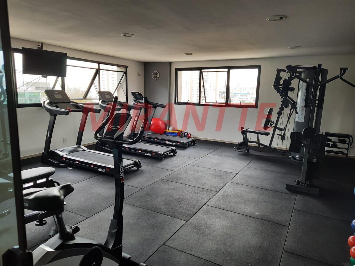 Apartamento de 120m² com 3 quartos em Lauzane Paulista