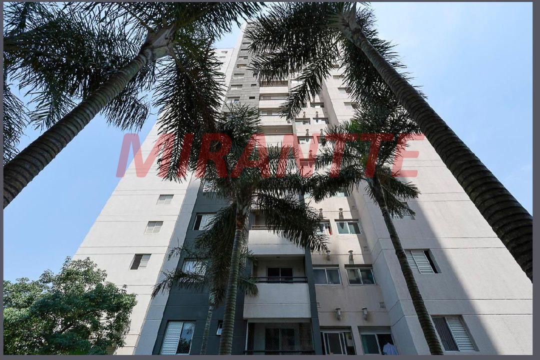 Apartamento de 50m² com 2 quartos em Limão