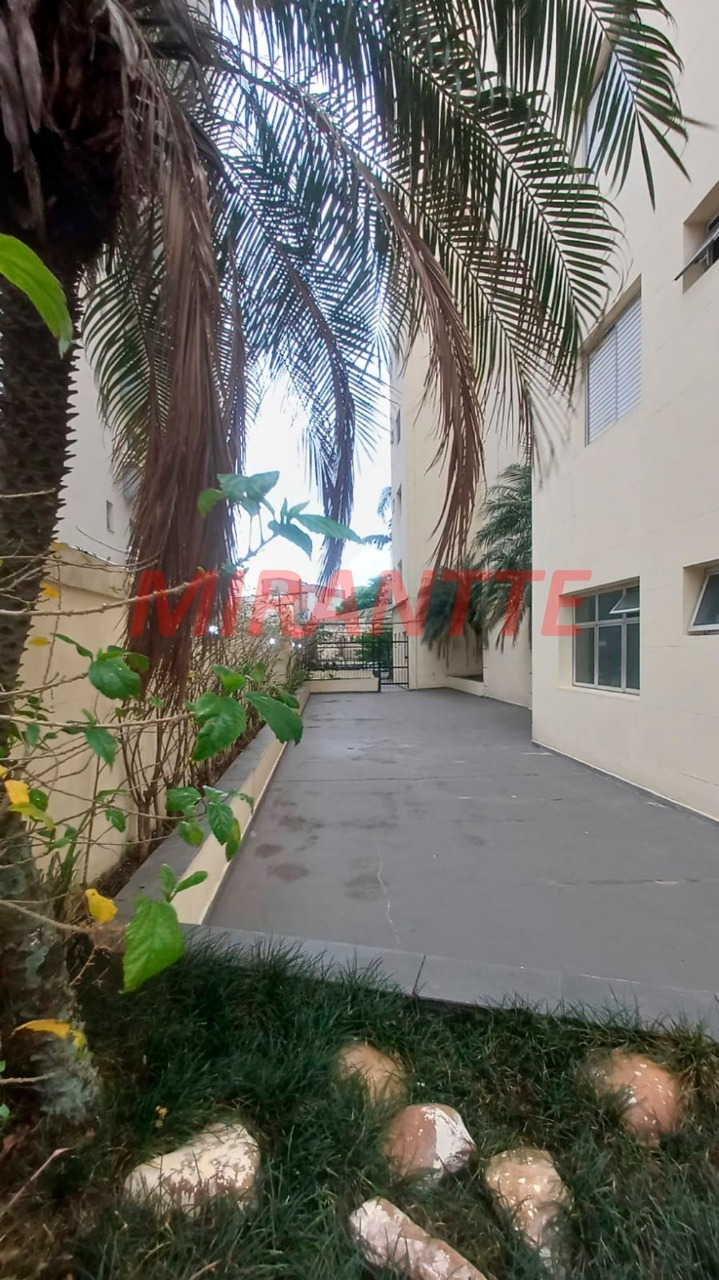 Apartamento de 110m² com 3 quartos em Parque Mandaqui