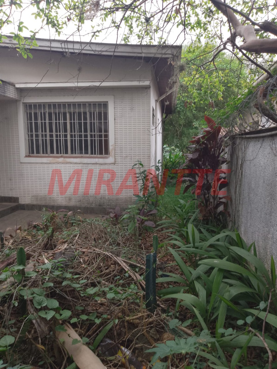 Terreno de 335m² em Palmas Do Tremembé