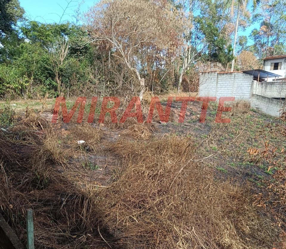 Terreno de 0m² em Mato Dentro
