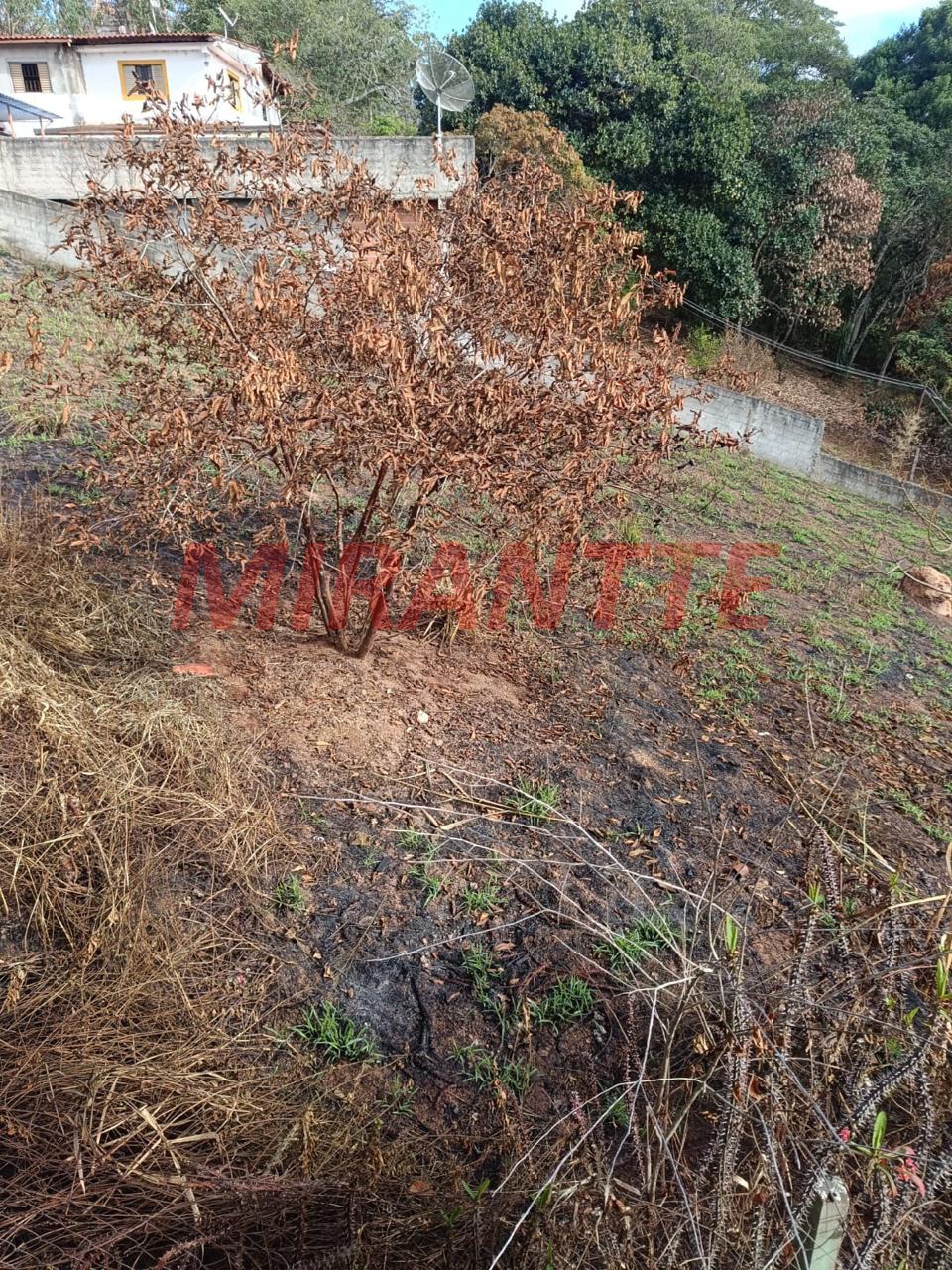 Terreno de 0m² em Mato Dentro