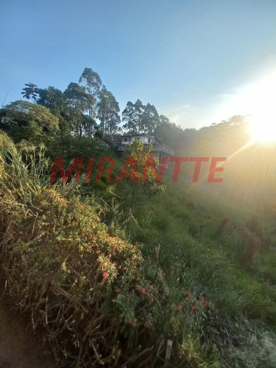 Terreno de 0m² em Mato Dentro