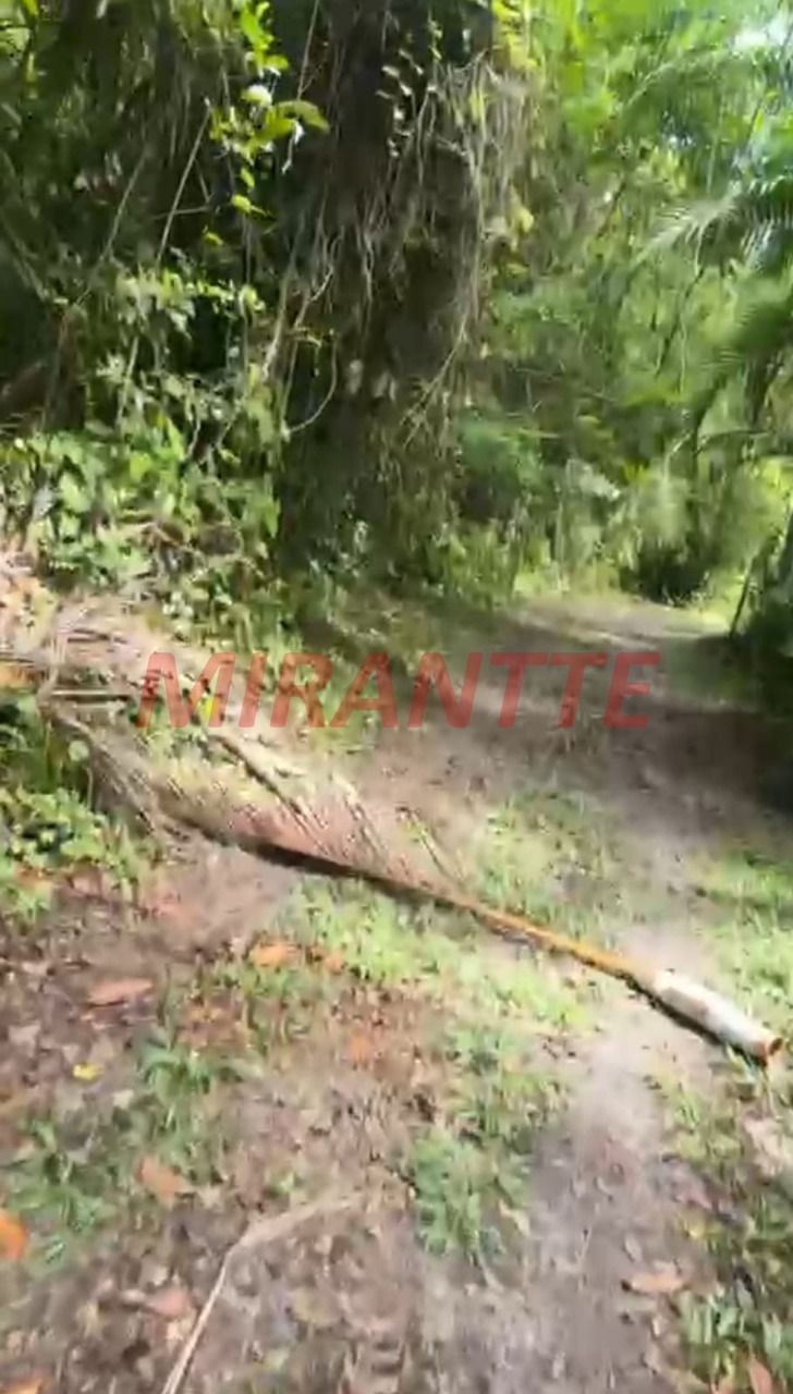 Terreno de 0m² em Barra do Ribeira