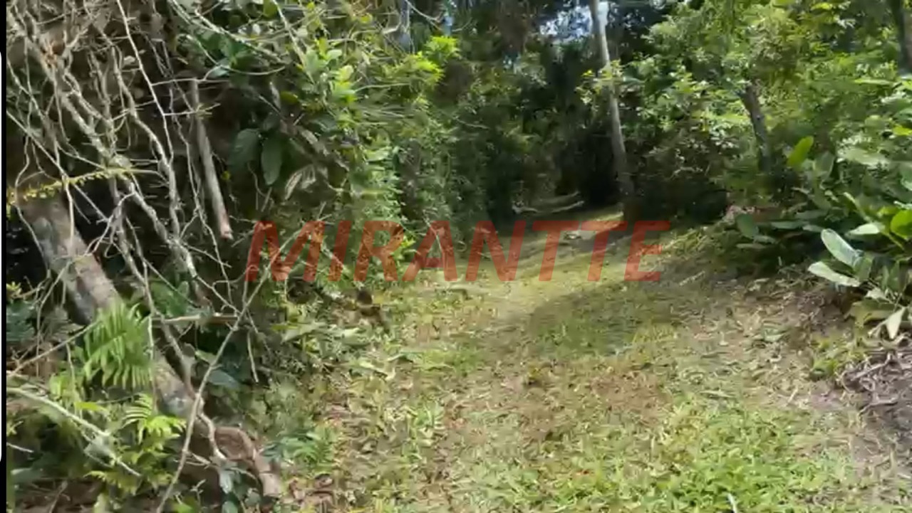 Terreno de 0m² em Barra do Ribeira