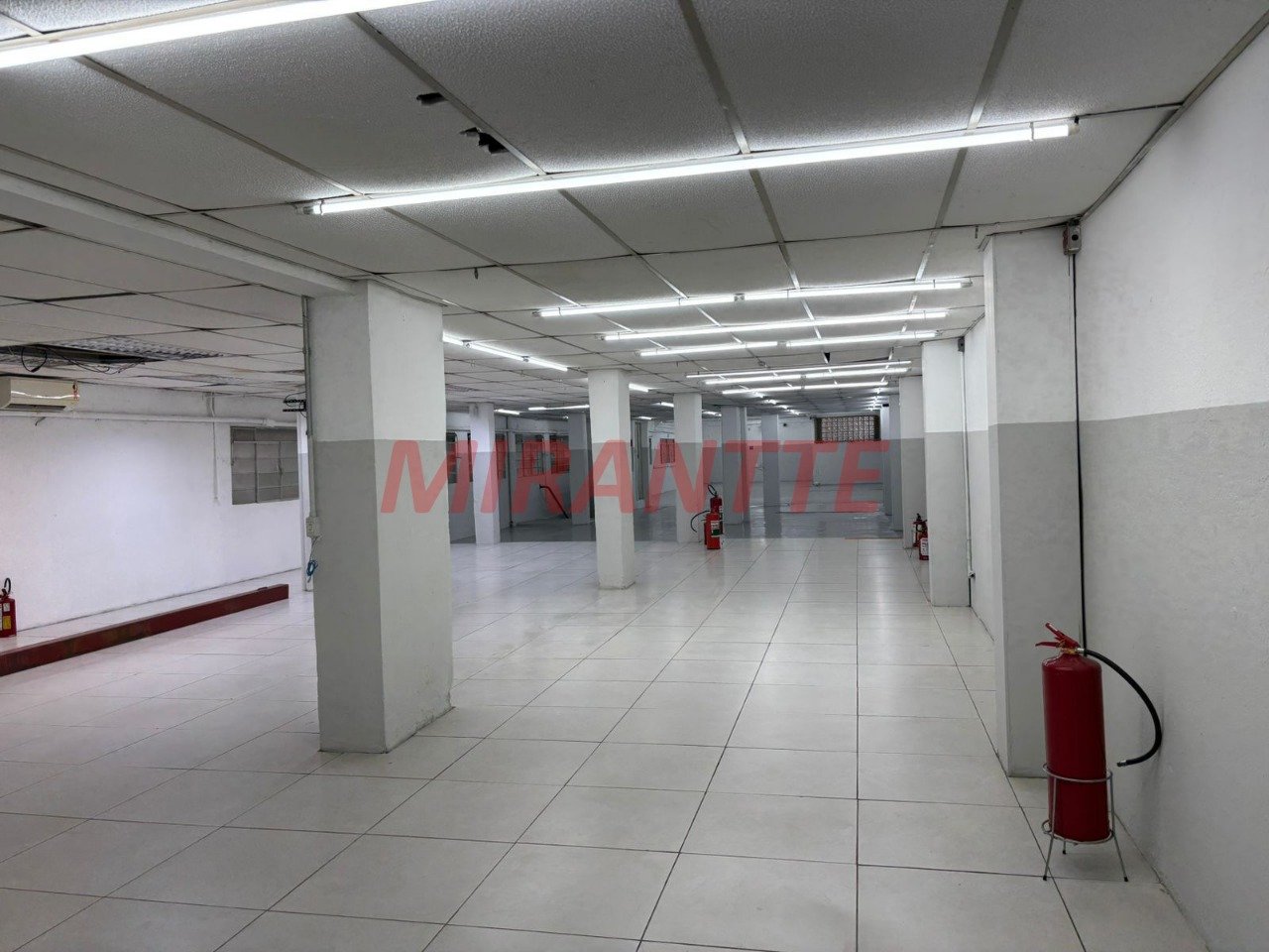 R2 Image 266921 #4