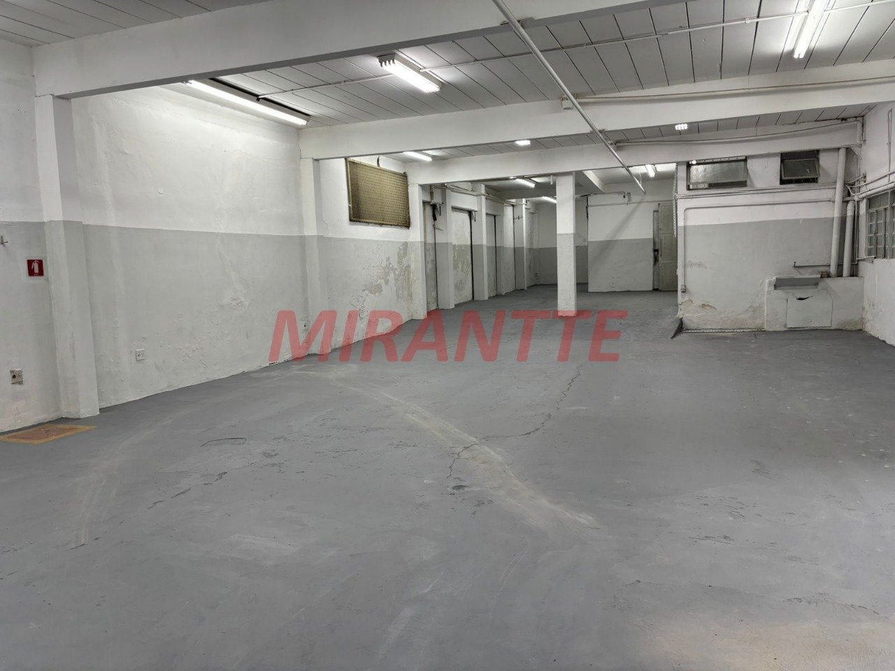 R2 Image 266921 #12